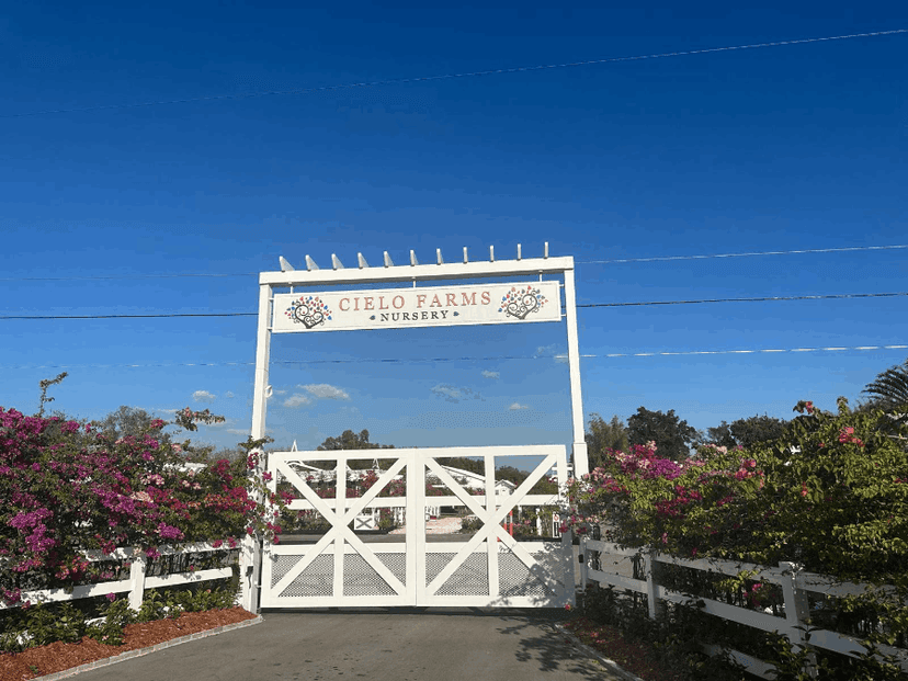 Cielo Farms Nursery