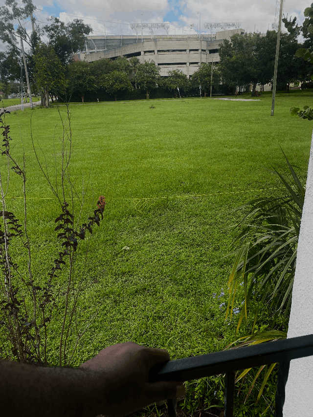 Raymond James Stadium