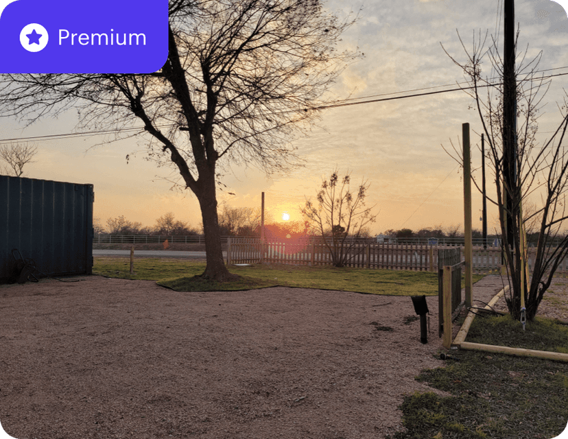 Join our prime Buda Food Park